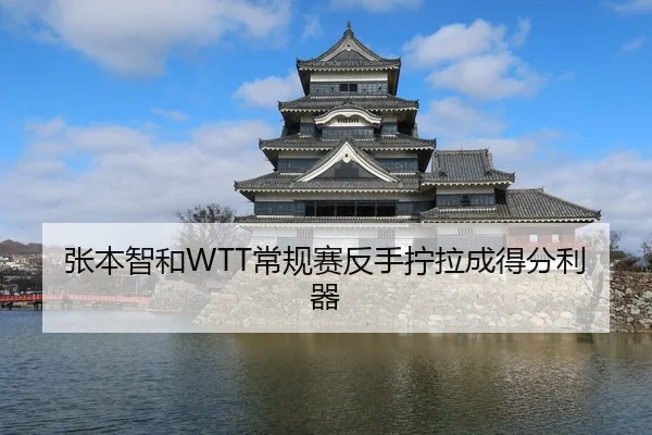 张本智和WTT常规赛反手拧拉成得分利器