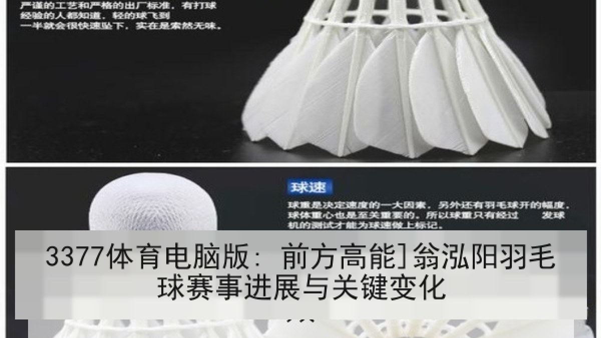 3377体育电脑版: 前方高能]翁泓阳羽毛球赛事进展与关键变化